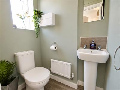 Picture 9